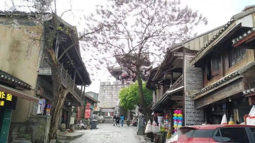 射击红色鸟